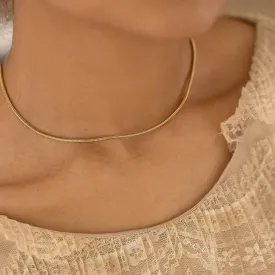 Round Snake chain Everyday wear