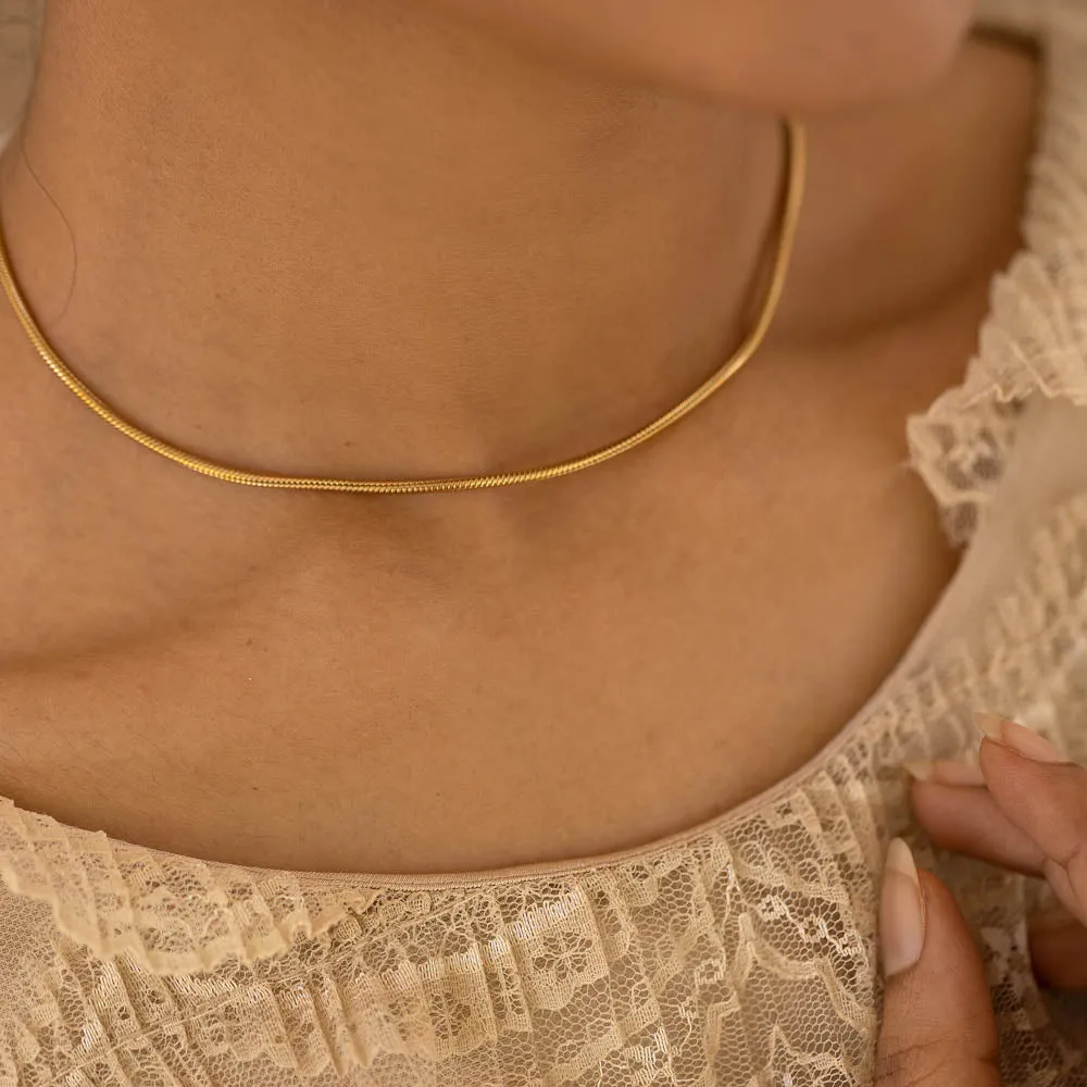 Round Snake chain Everyday wear