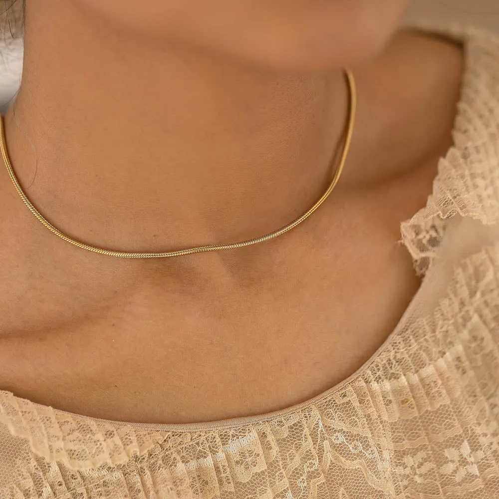 Round Snake chain Everyday wear
